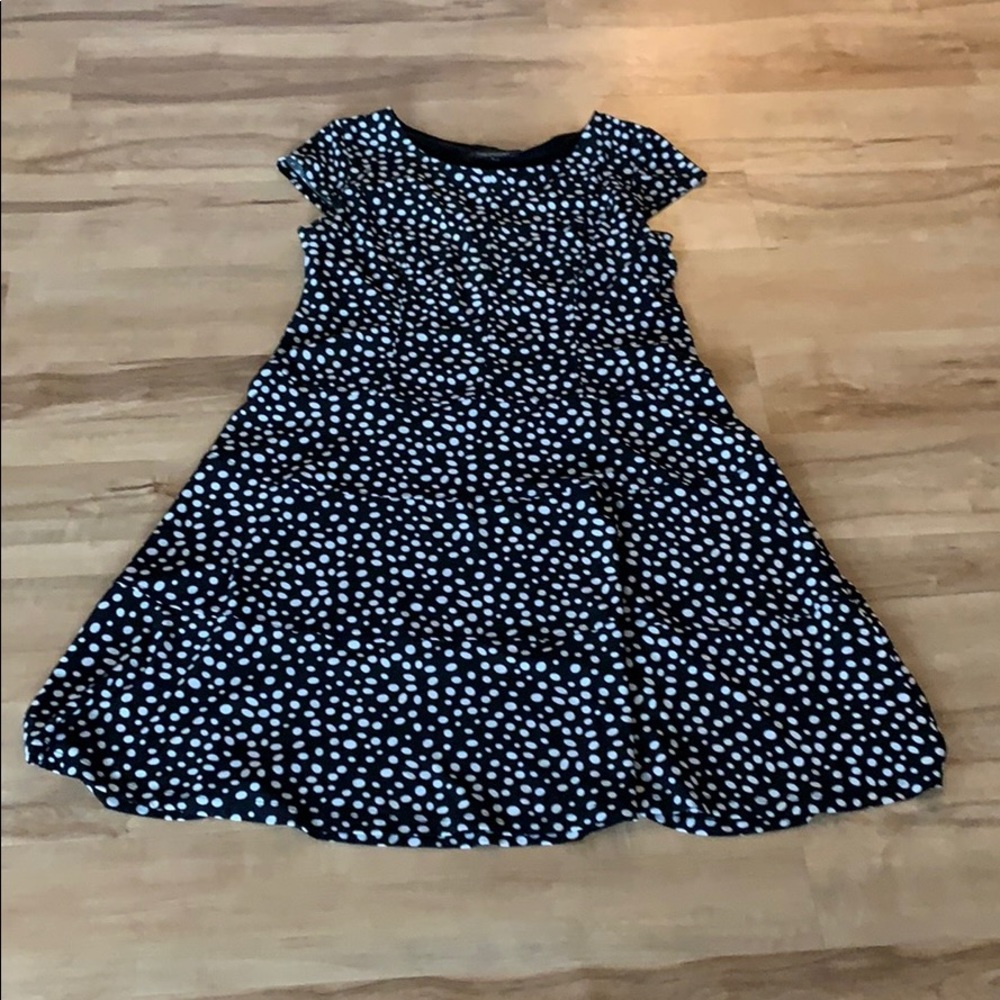 Perceptions NY polka dot dress
